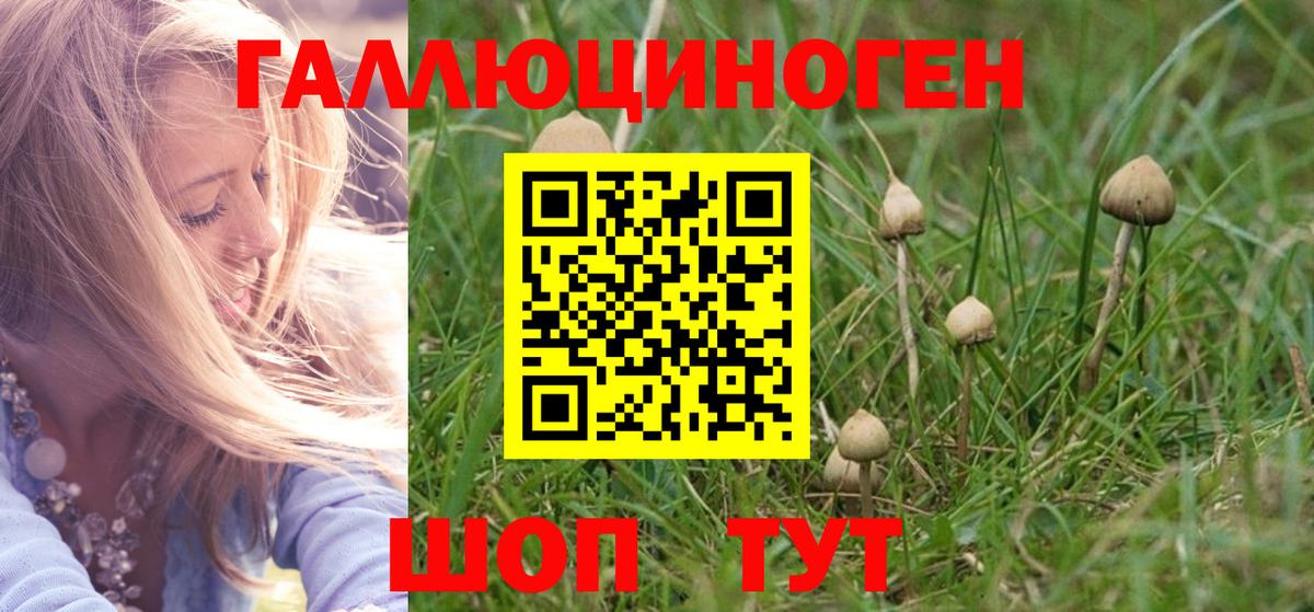 Псилоцибиновые грибы MAGIC MUSHROOMS  Галлюциногенные грибы мицелий  Вход с VPN  Когалым 