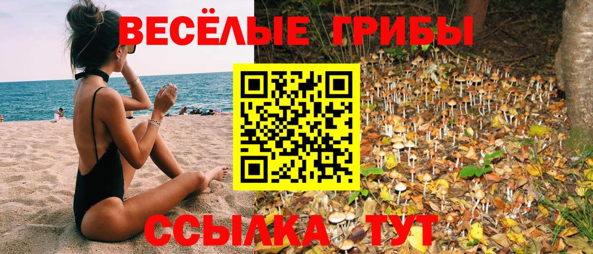 Псилоцибиновые грибы мицелий Когалым
